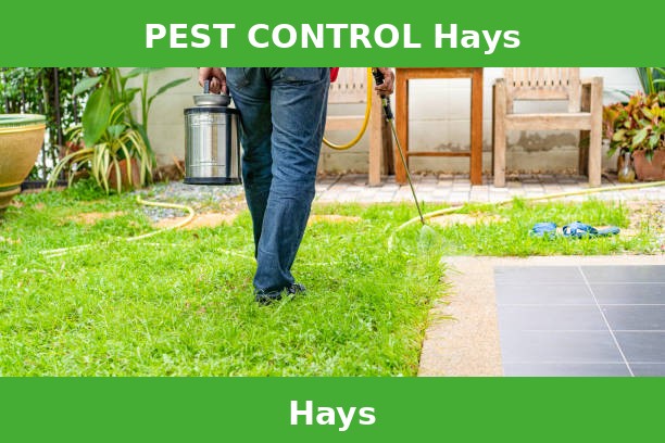 PEST CONTROL Hays